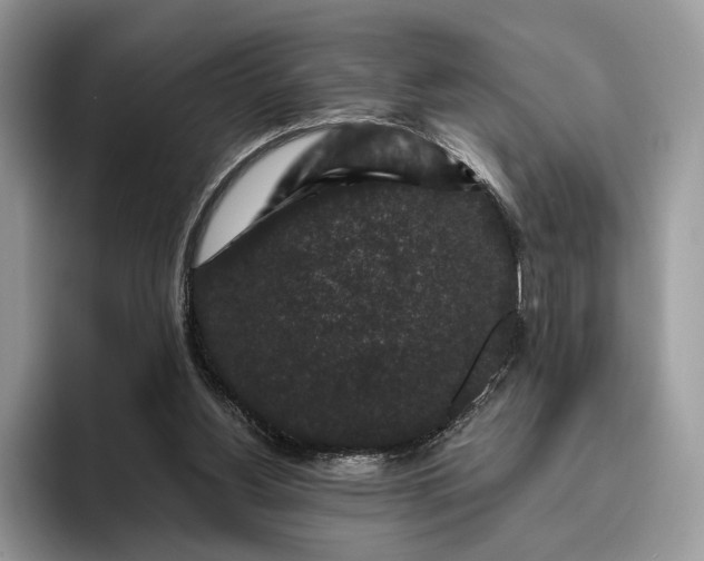 X0000095930156200801251057