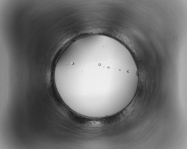 X0000095930159200801251057