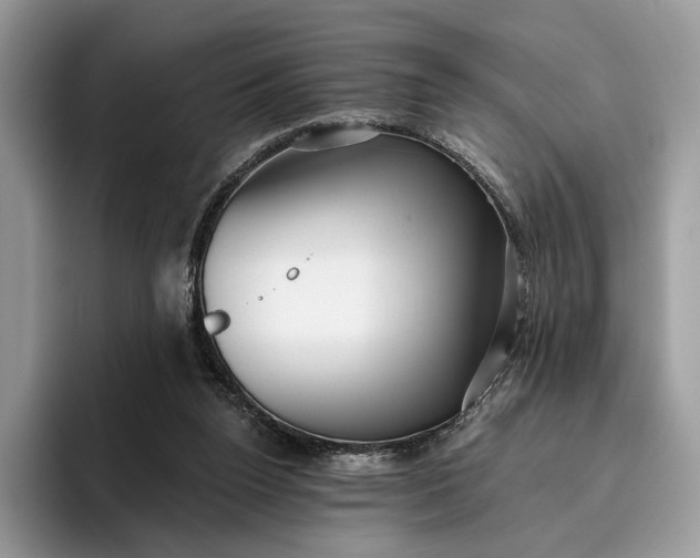 X0000095930160200801251057