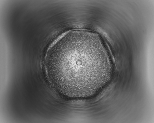 X0000095930161200801251057