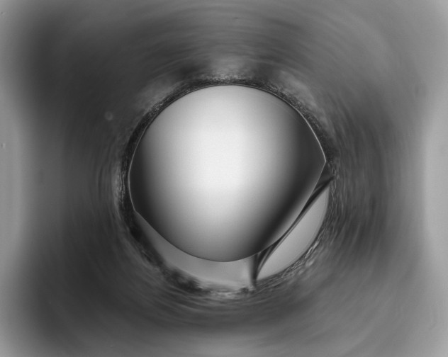 X0000095930164200801251057