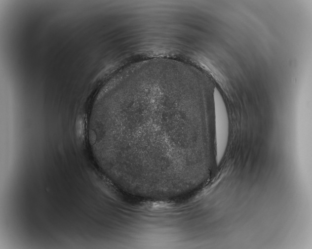X0000095930165200801251057