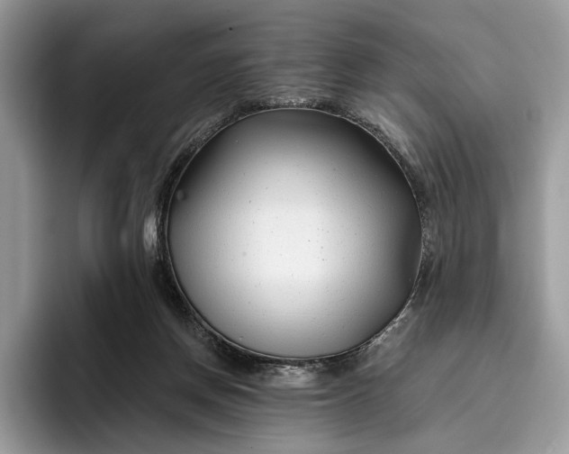 X0000095930166200801251057