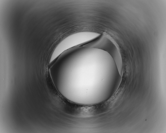 X0000095930172200801251057