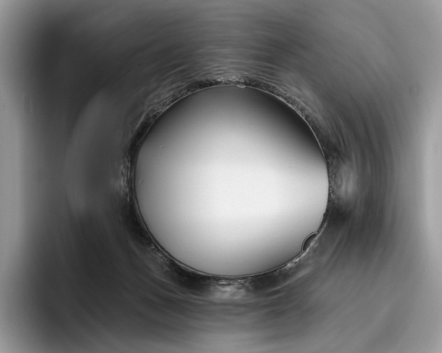 X0000095930175200801251057