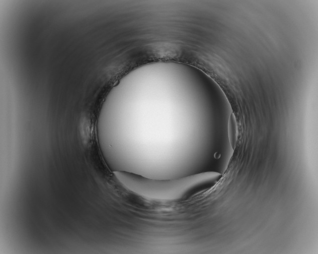 X0000095930176200801251057