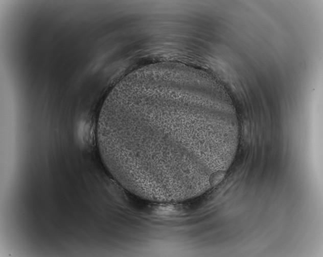 X0000095930177200801251057