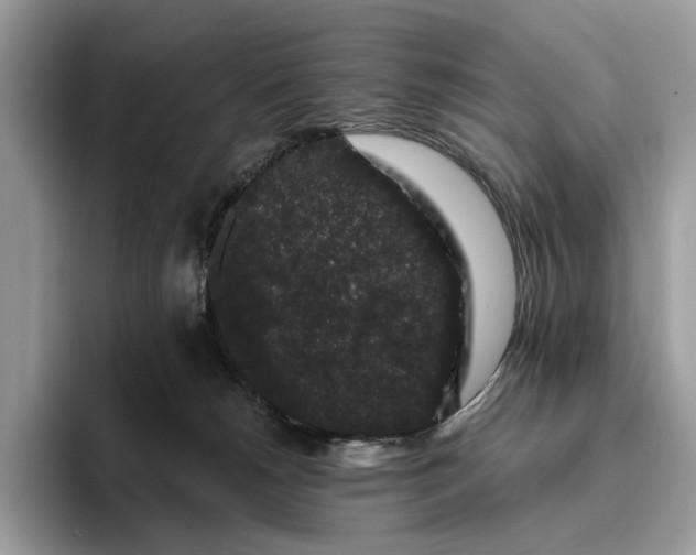 X0000095930180200801251057