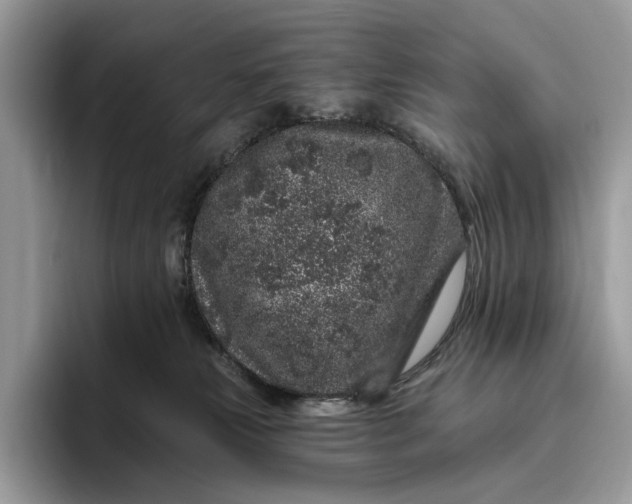 X0000095930181200801251057