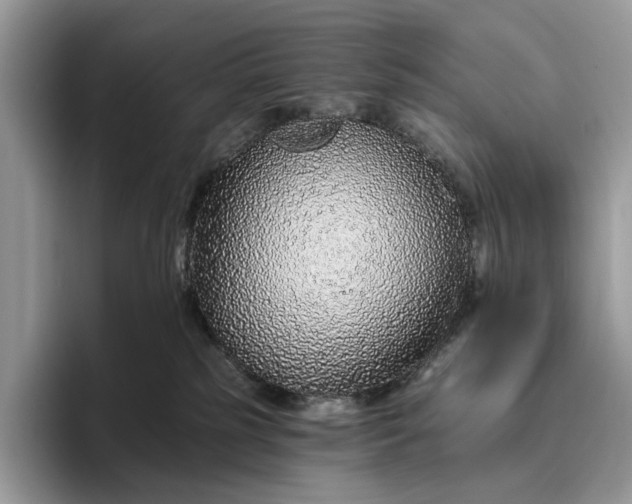 X0000095930185200801251057
