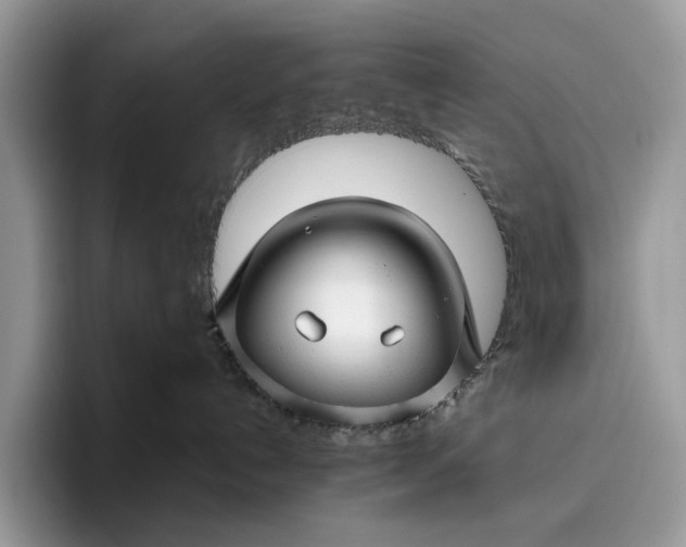 X0000095930192200801251057