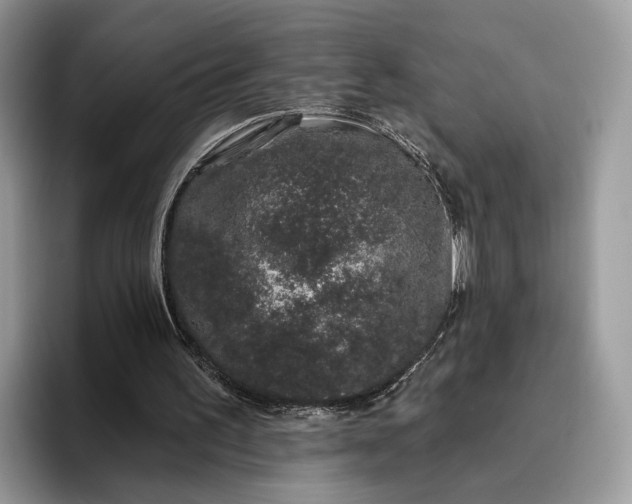 X0000095930195200801251056