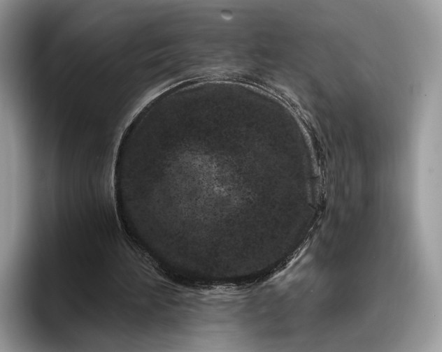 X0000095930196200801251056