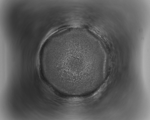 X0000095930198200801251056