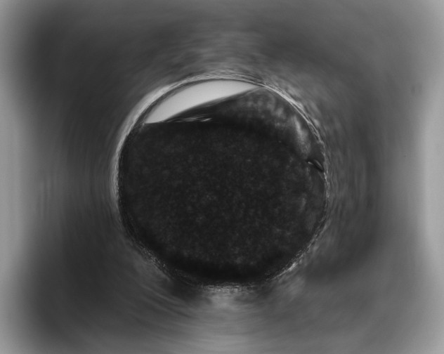 X0000095930200200801251056