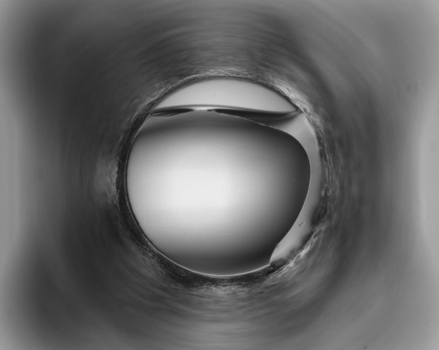 X0000095930201200801251056