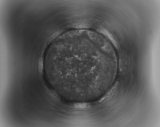 X0000095930202200801251056