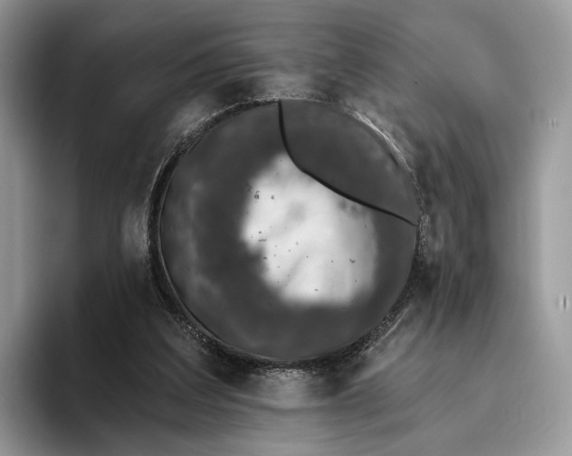 X0000095930203200801251056
