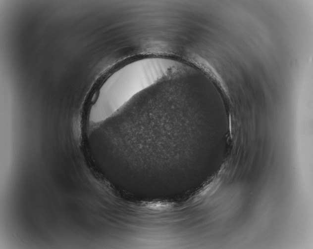 X0000095930204200801251056