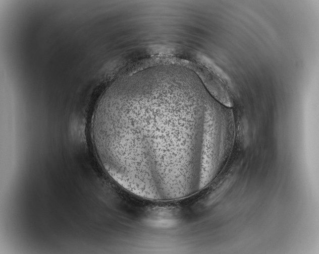 X0000095930209200801251056