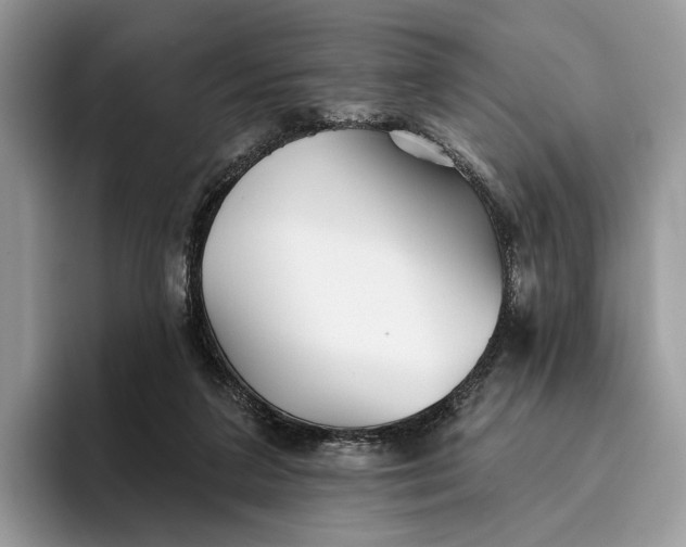 X0000095930211200801251056