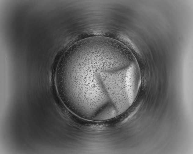 X0000095930213200801251056