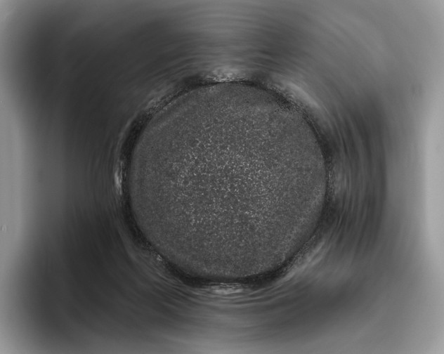 X0000095930214200801251056