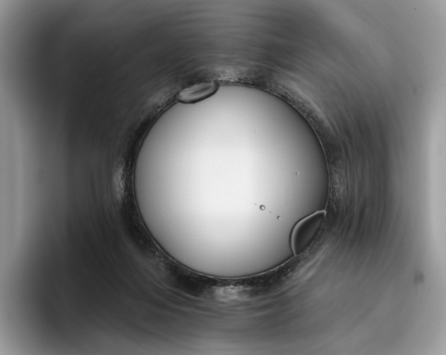 X0000095930216200801251056