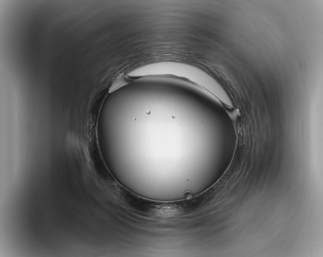 X0000095930218200801251056