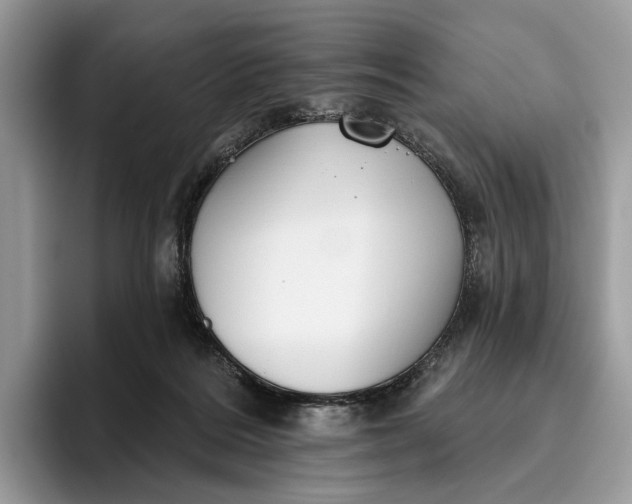 X0000095930220200801251056