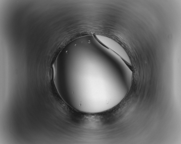 X0000095930221200801251056