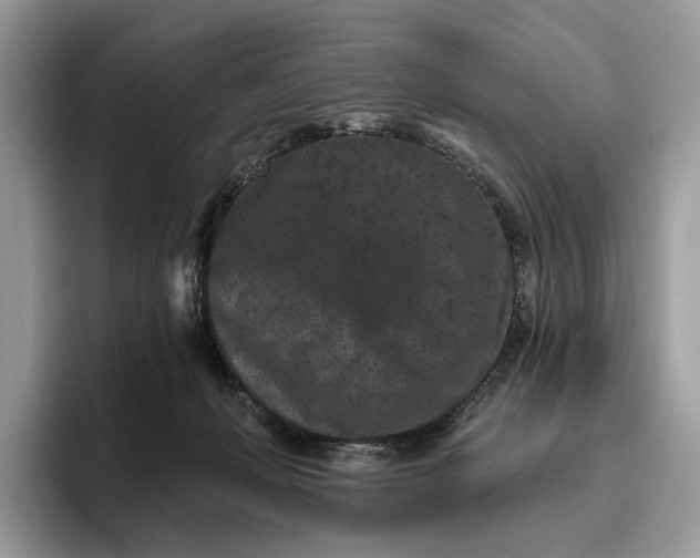 X0000095930222200801251056