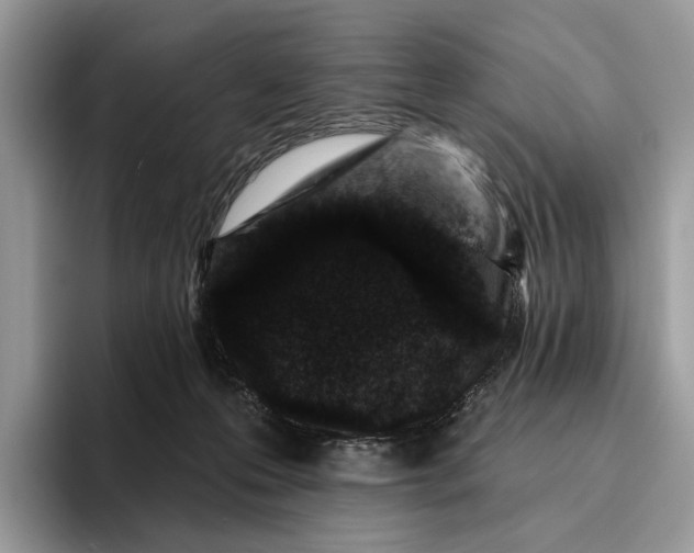 X0000095930223200801251056