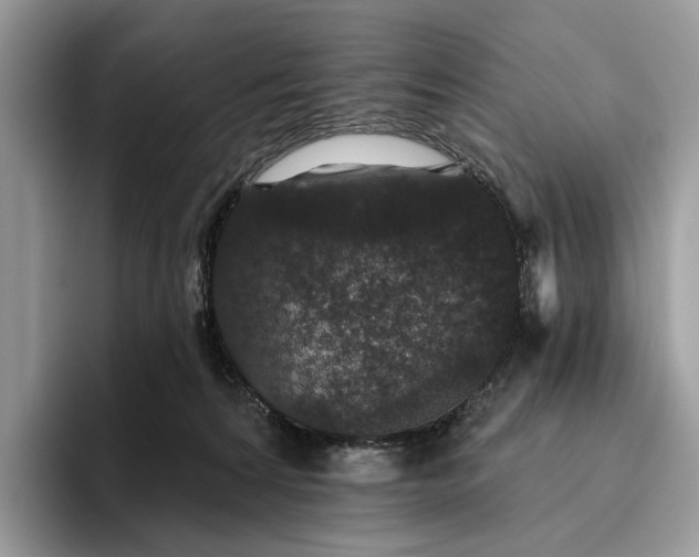 X0000095930224200801251056