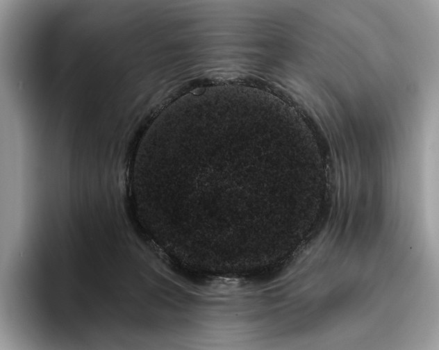 X0000095930227200801251056