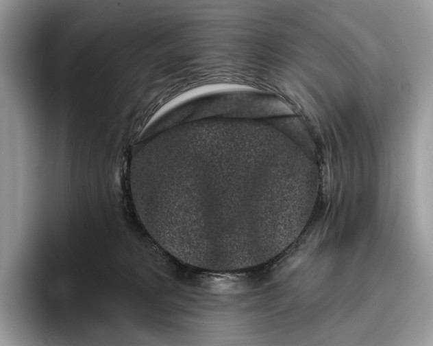 X0000095930229200801251056