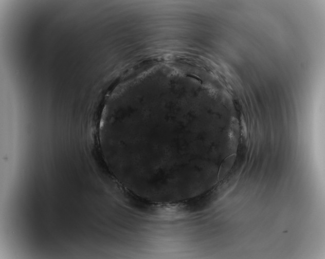 X0000095930235200801251056
