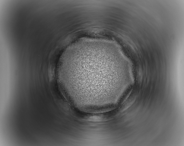 X0000095930236200801251056