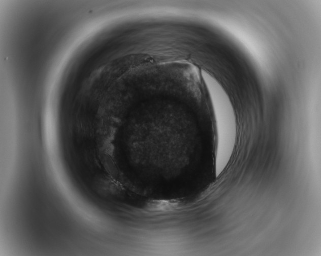 X0000095930239200801251056
