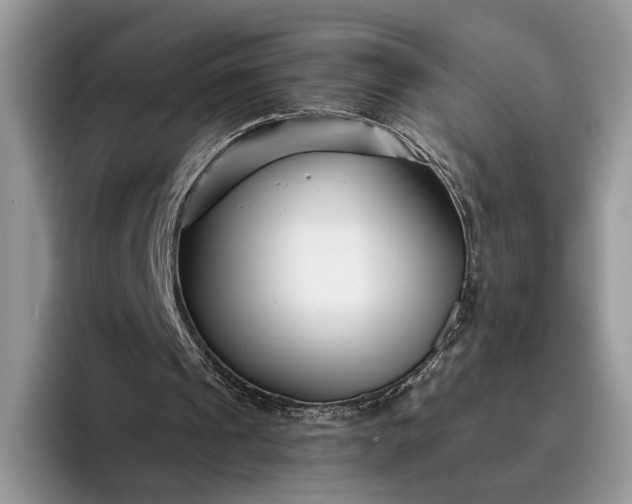 X0000095930241200801251055