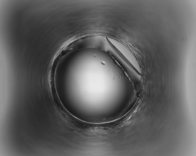 X0000095930244200801251055