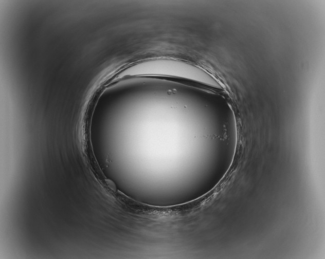 X0000095930245200801251055