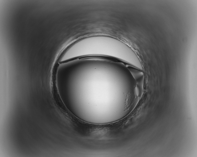 X0000095930248200801251055