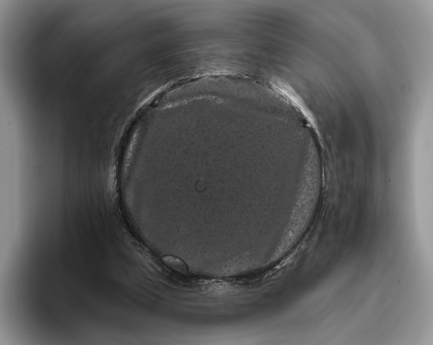 X0000095930249200801251055