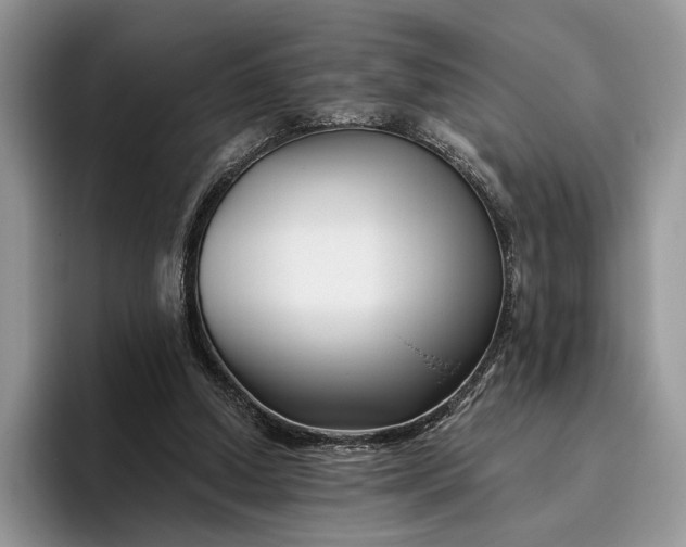X0000095930250200801251055