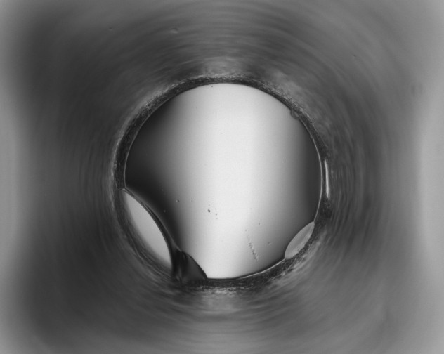 X0000095930252200801251055