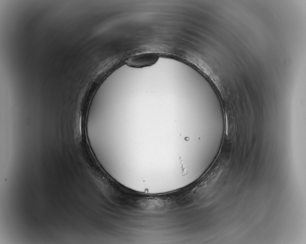 X0000095930253200801251055