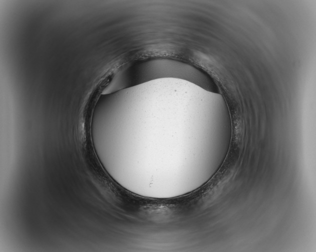 X0000095930254200801251055