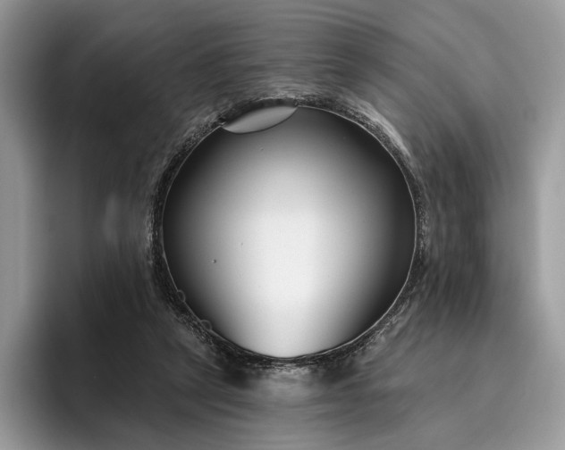 X0000095930257200801251055