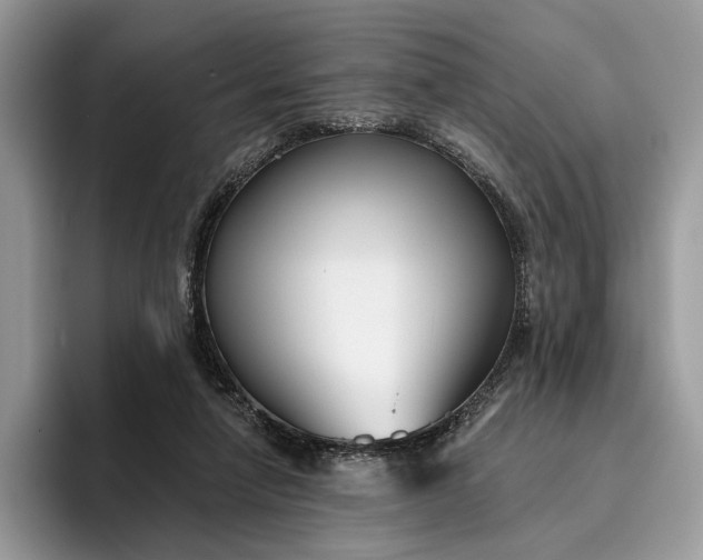 X0000095930258200801251055
